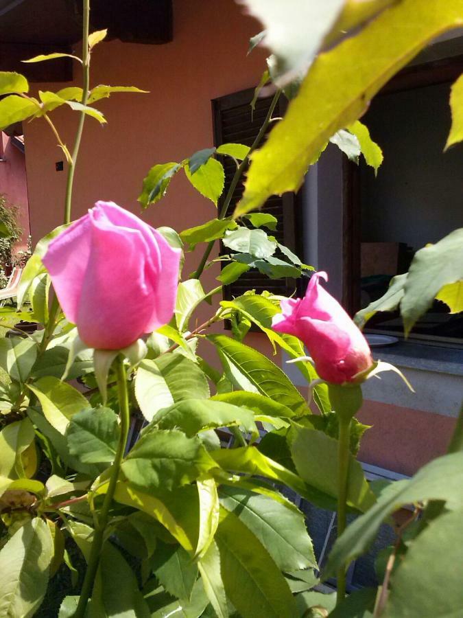 Le Ginestre Bed & Breakfast Caselle Torinese Екстериор снимка